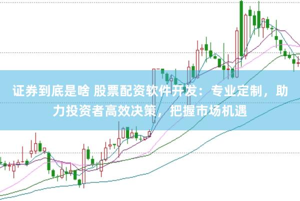 证券到底是啥 股票配资软件开发：专业定制，助力投资者高效决策，把握市场机遇
