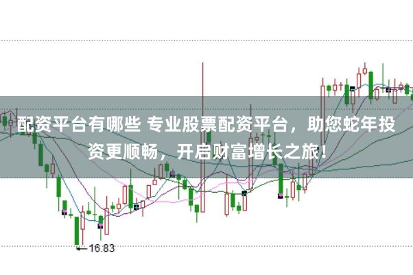 配资平台有哪些 专业股票配资平台，助您蛇年投资更顺畅，开启财富增长之旅！