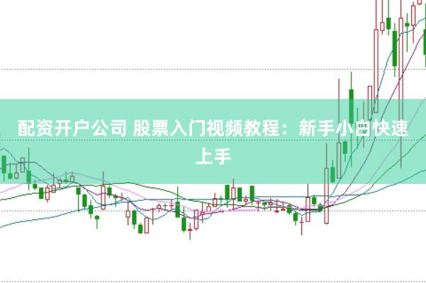 配资开户公司 股票入门视频教程：新手小白快速上手