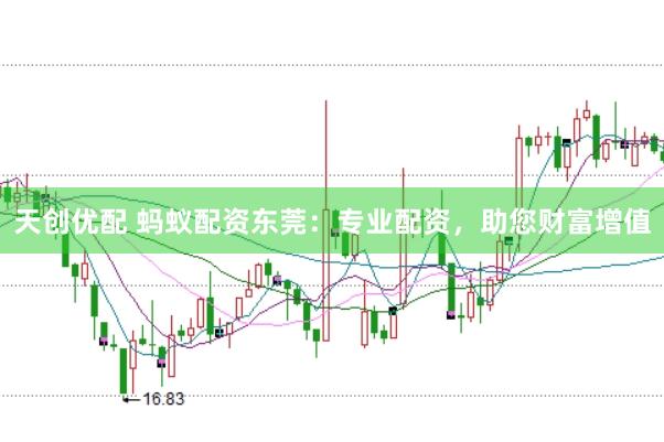 天创优配 蚂蚁配资东莞：专业配资，助您财富增值