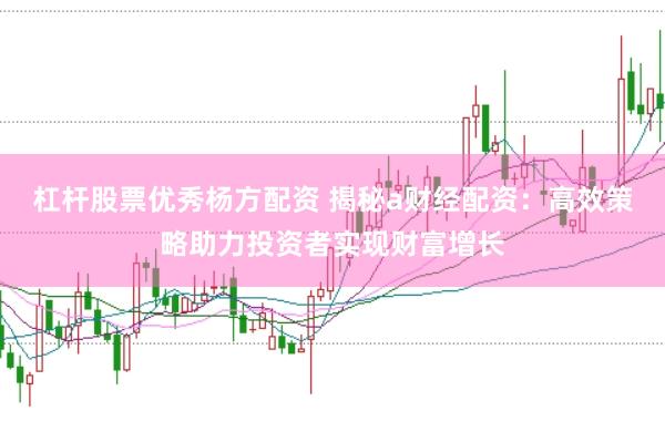 杠杆股票优秀杨方配资 揭秘a财经配资：高效策略助力投资者实现财富增长