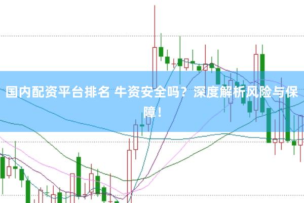 国内配资平台排名 牛资安全吗？深度解析风险与保障！