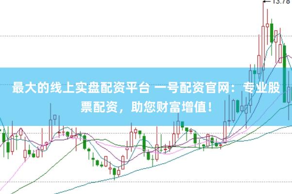 最大的线上实盘配资平台 一号配资官网：专业股票配资，助您财富增值！