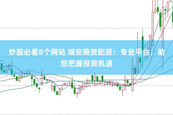 炒股必看8个网站 瑞安期货配资：专业平台，助您把握投资机遇