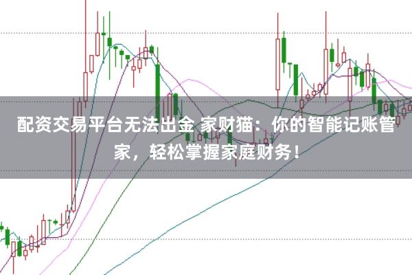 配资交易平台无法出金 家财猫：你的智能记账管家，轻松掌握家庭财务！