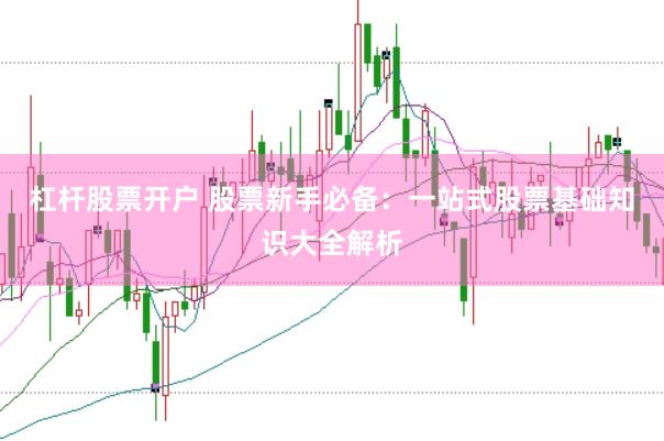 杠杆股票开户 股票新手必备：一站式股票基础知识大全解析