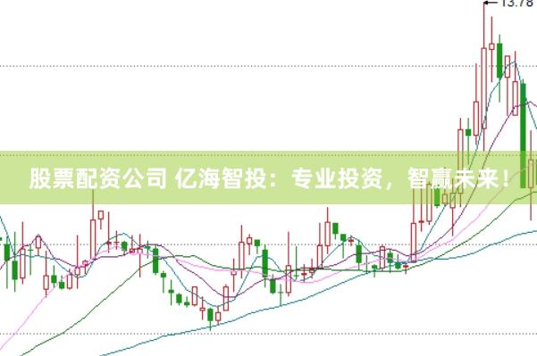 股票配资公司 亿海智投：专业投资，智赢未来！