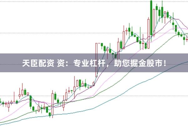 天臣配资 资：专业杠杆，助您掘金股市！