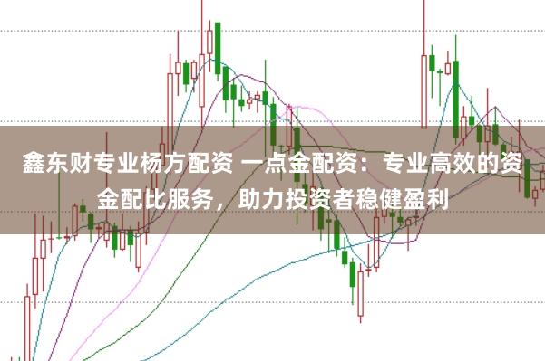 鑫东财专业杨方配资 一点金配资：专业高效的资金配比服务，助力投资者稳健盈利
