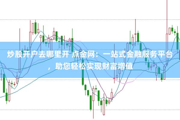 炒股开户去哪里开 点金网：一站式金融服务平台，助您轻松实现财富增值