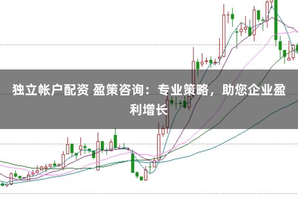 独立帐户配资 盈策咨询:专业策略,助您企业盈利增长