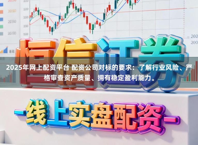 2025年网上配资平台 配资公司对标的要求:了解行业风险、严格审查资产质量、拥有稳定盈利能力。